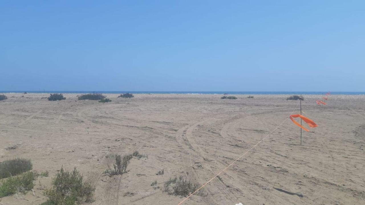 הוילה דלטברה Casa Del Palomet מראה חיצוני תמונה